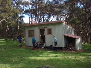 Mangatoetoe Hut 2