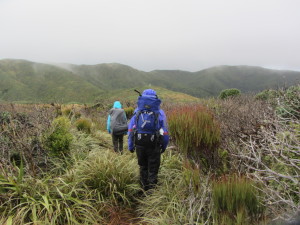 Ridge to Burn Hut